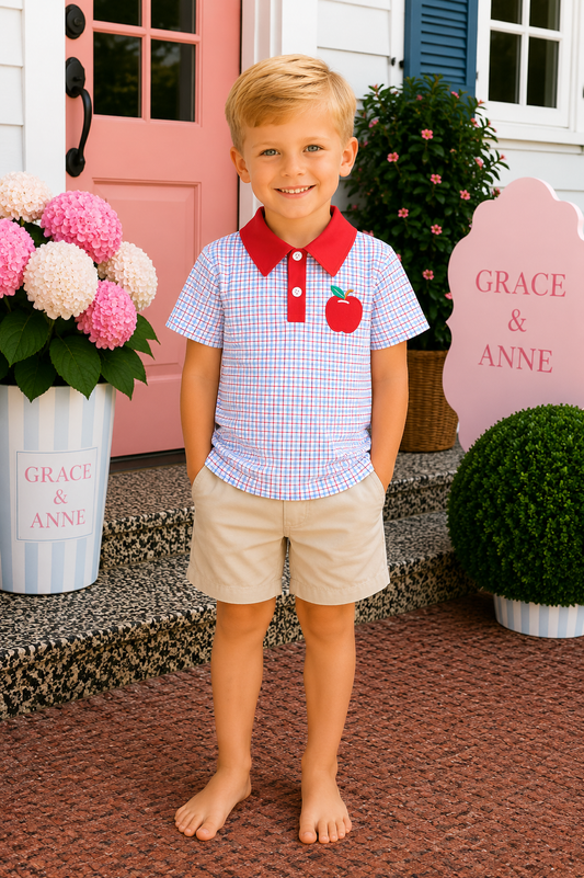 Blue Apple Embroidered Plaid Shorts Set